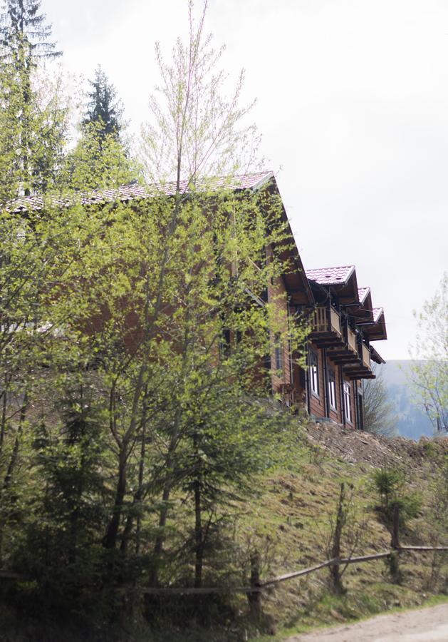 Karpatska Oselia Villa เวอร์คอฟเวอนา ภายนอก รูปภาพ